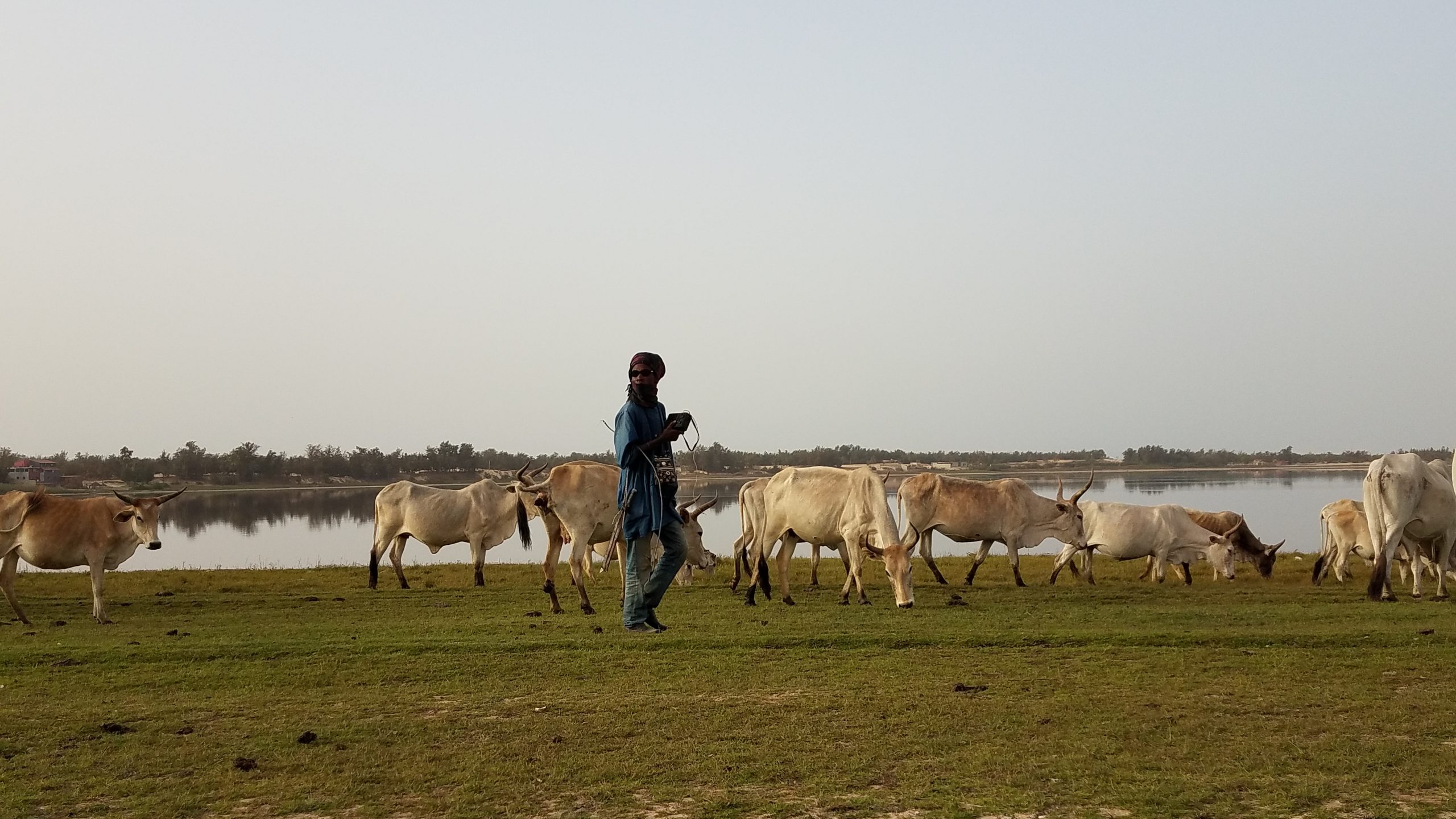 Supporting Pastoralism in the Sahel