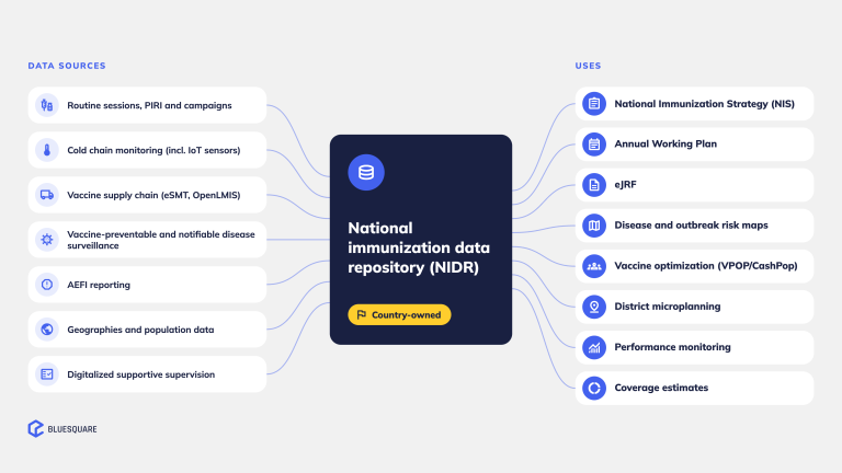 National immunization data repositories: the digital backbone of decision in immunization